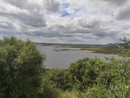 Flora del Cerro Masatrigo